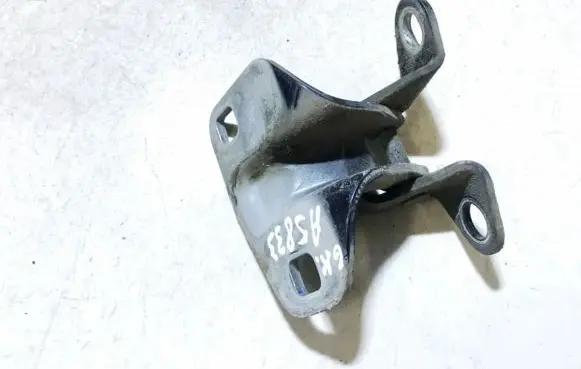 Chrysler 300M Rear door lower hinge