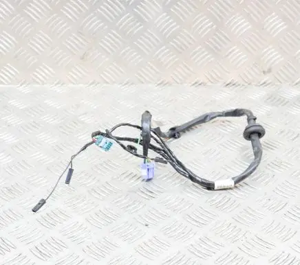 Tesla Model Y Other wiring loom 159411297A
