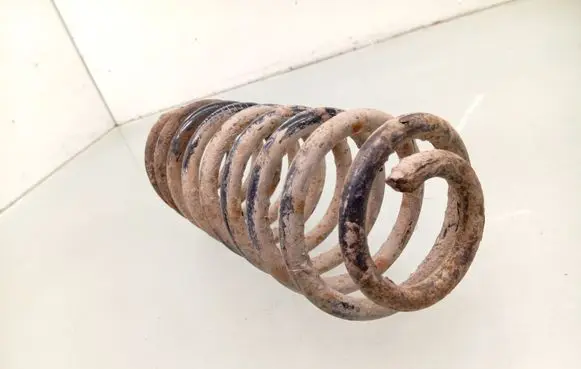 Seat Leon (1M) Rear coil spring 