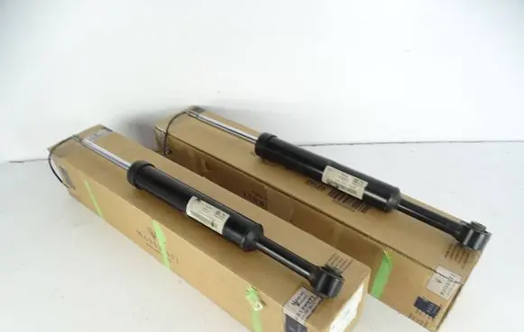 Maserati Levante Rear shock absorber/damper 670159686