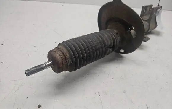 Citroen C4 I Picasso Front shock absorber/damper