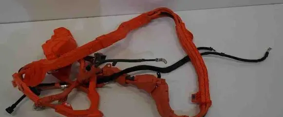 Lexus NX Other wiring loom