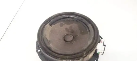 Front door speaker