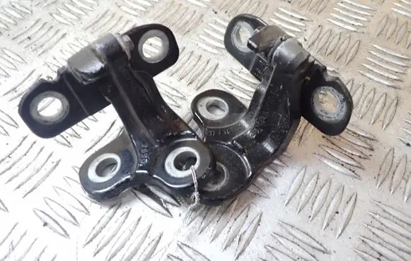 Jaguar F-Pace Rear door lower hinge CPLA228A67AC