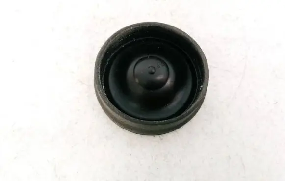 Headlight/headlamp dust cover
