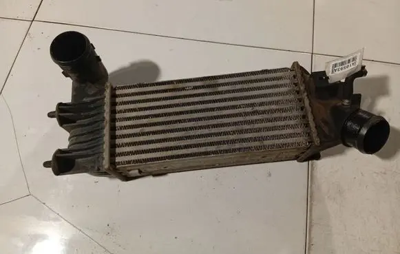Intercooler radiator