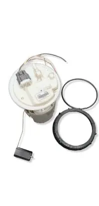 Renault Megane III In-tank fuel pump 172020029R 1002905AA K00390812905