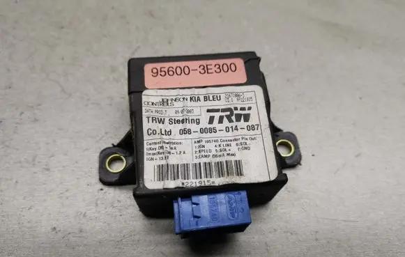 KIA Sorento Other control units/modules 956003E300