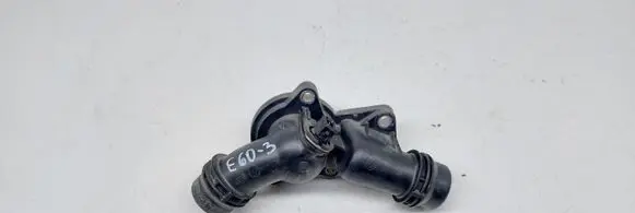 Thermostat/thermostat housing
