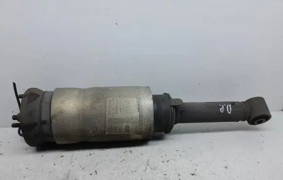 Land Rover Range Rover Sport L320 Air suspension front shock absorber 5H3218B036AB