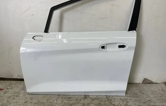 Ford Fiesta Front door H1BBA20221AJ