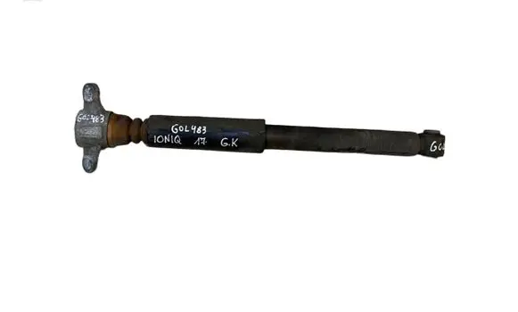 Hyundai Ioniq Rear shock absorber/damper 55300G7000