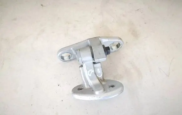 Rear door lower hinge