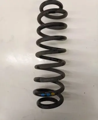 Dacia Spring Rear coil spring 550200356R