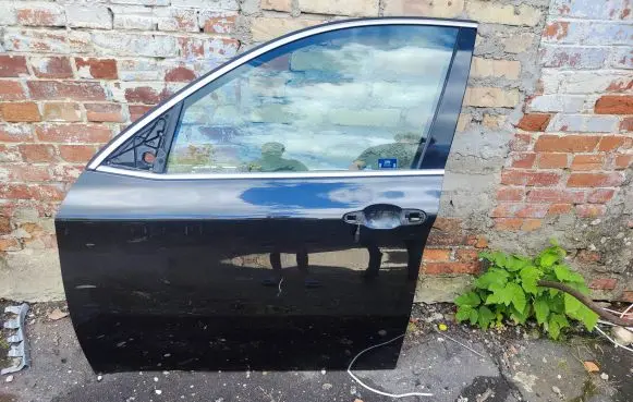 BMW X6 E71 Front door 1T0911110C