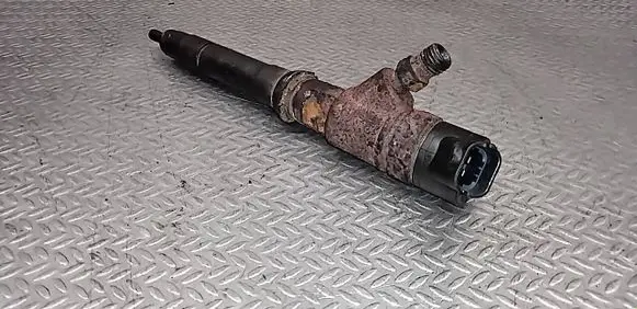 Fiat Ducato Fuel injector 504389548 0445110418