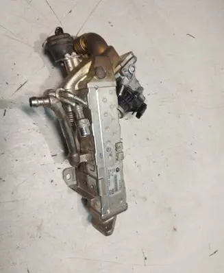 EGR valve
