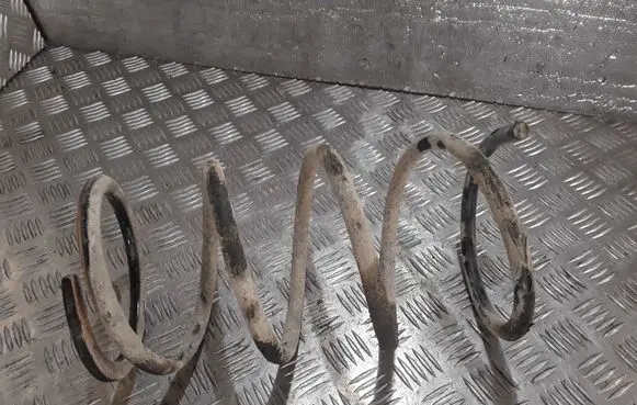 Nissan X-Trail T30 Rear coil spring