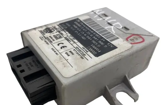 BMW X5 E53 Immobilizer control unit/module 6941985 61356941985 6941986