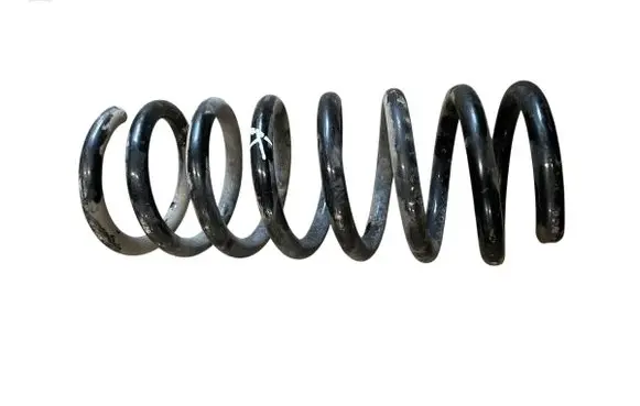Chevrolet Captiva Rear coil spring