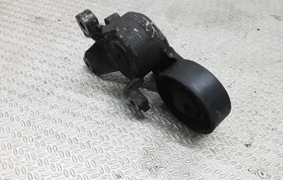 Peugeot 407 Generator/alternator belt tensioner F30361