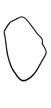 Chrysler Pacifica Rubber seal rear door 68313523AD