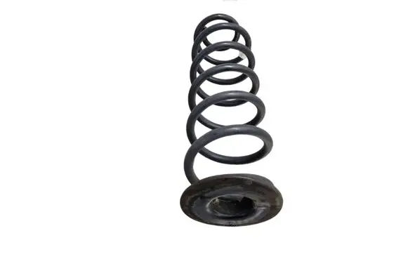 Rear coil spring