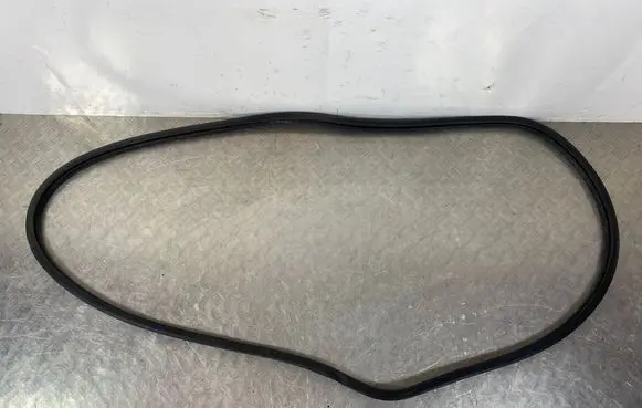 Mitsubishi Outlander IV Front door rubber seal 