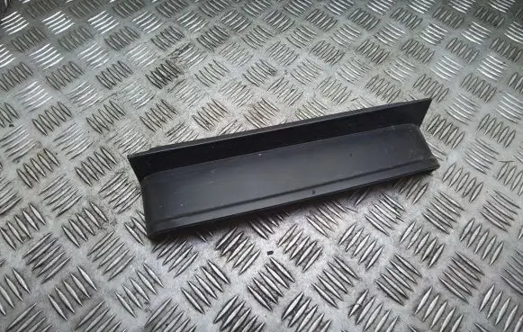 Rear/tail light trim molding