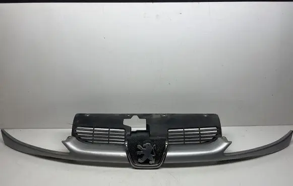 Peugeot 206 Front grill 9628934280