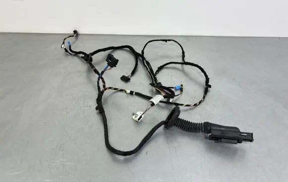 BMW 2 F46 Front door wiring loom 8720693