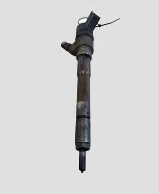 KIA Carens II Fuel injector 0445110258 3380027400