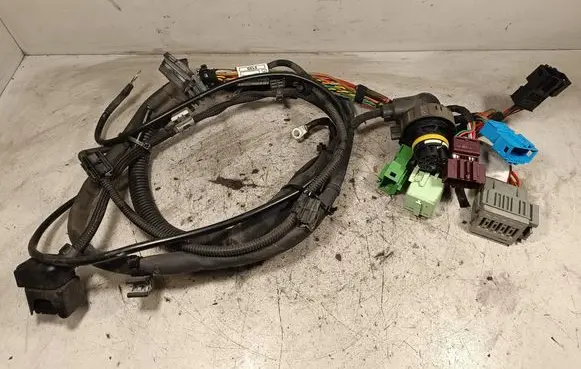 Engine installation wiring loom