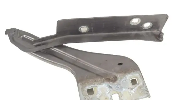 Jaguar F-Pace Engine bonnet/hood hinges HK8316800