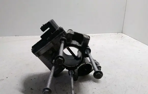 Renault Latitude (L70) EGR valve 8200987088 147100385R