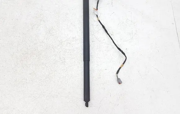 Ford Escape IV Tailgate/trunk strut/damper LJ6BS402A54 LJ6BS402A54AC R9CRC