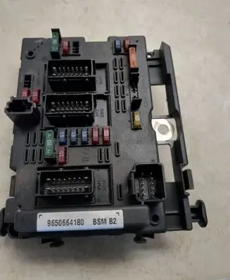 Peugeot 307 Fuse module 9650664180