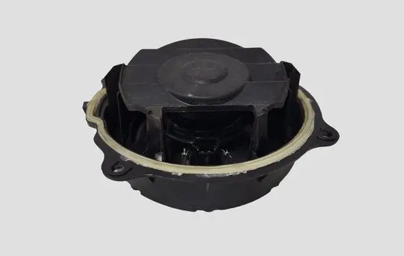 Citroen C5 Front door speaker