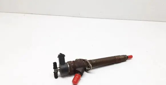 Volvo V50 Fuel injector 0445110298 30777526