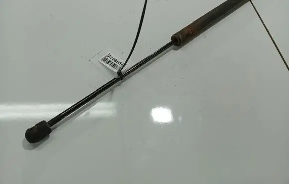 Tailgate/trunk strut/damper