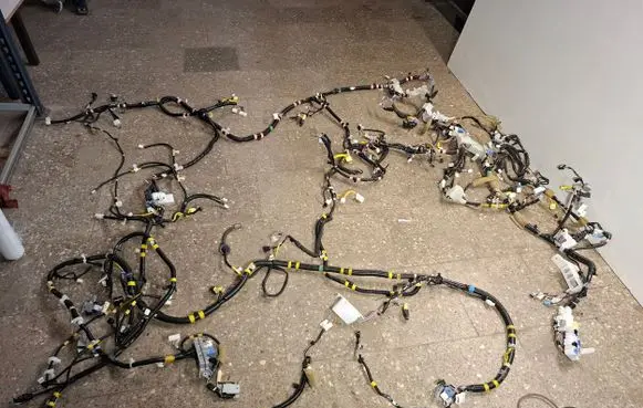 Lexus RX III Wiring harness 8216148Z80 8216248G30
