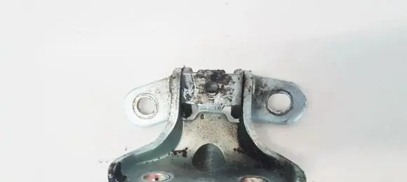 KIA Carens II Rear door lower hinge