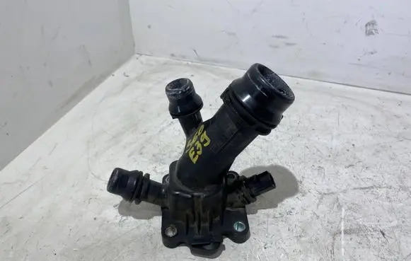 Thermostat/thermostat housing