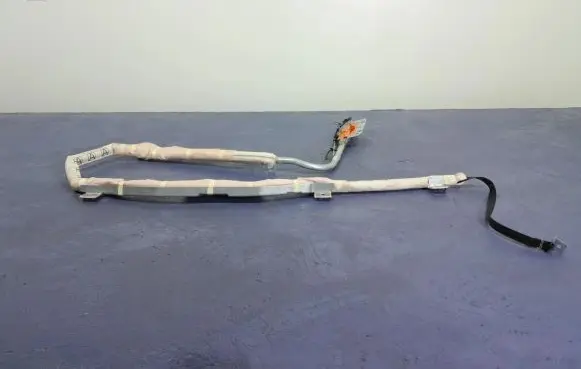 Nissan Note (E11) Roof airbag 305645020