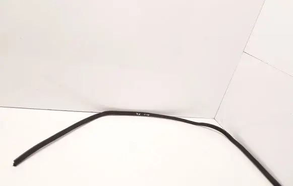 Mercedes-Benz W123 Front door rubber seal