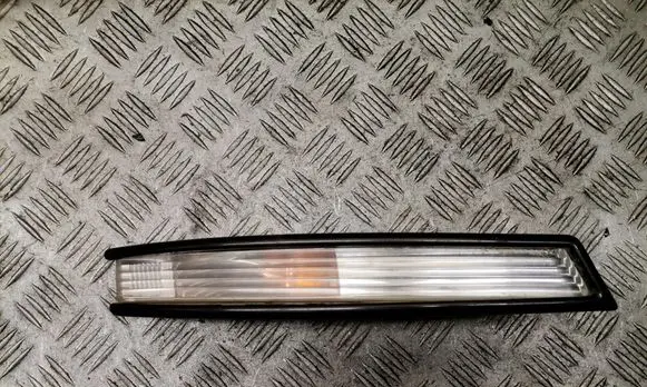 Volkswagen PASSAT B6 Front indicator light 3C0953042L