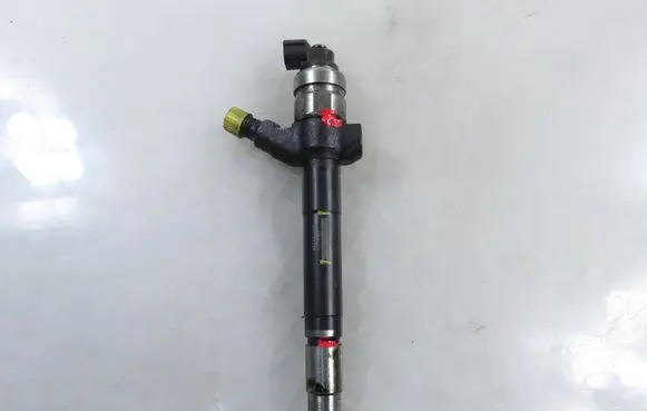 Peugeot Boxer Fuel injector 0950005801