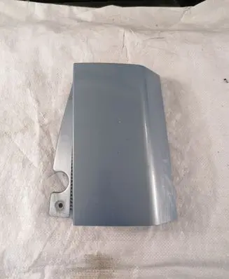 Rear/tail light trim molding