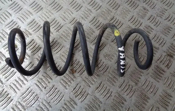 Rear coil spring