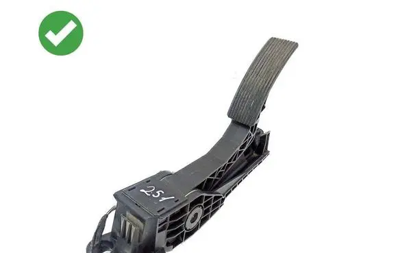 Mercedes-Benz R W251 Accelerator throttle pedal A1643000004 ZGS010